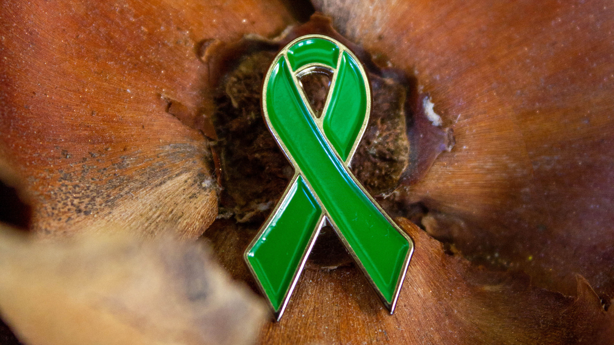 What Does a Green Ribbon Pin Mean? - Understanding the Symbolism Behind ...