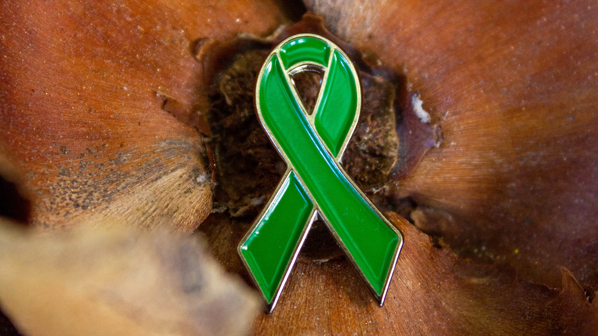 Right Ribon Green Ribbon Meaning | Causes, Mental Health & Awareness