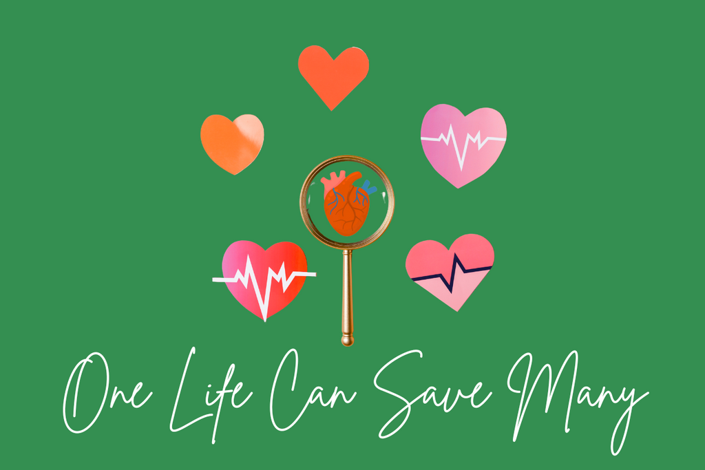 Organ donation awareness banner with hearts, a magnifying glass over a heart, and text One Life Can Save Many on a green background.