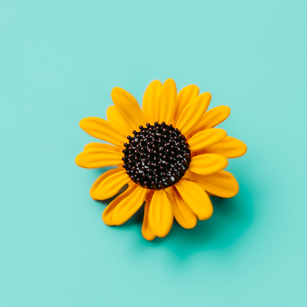a yellow sunflower lapel pin on a blue background